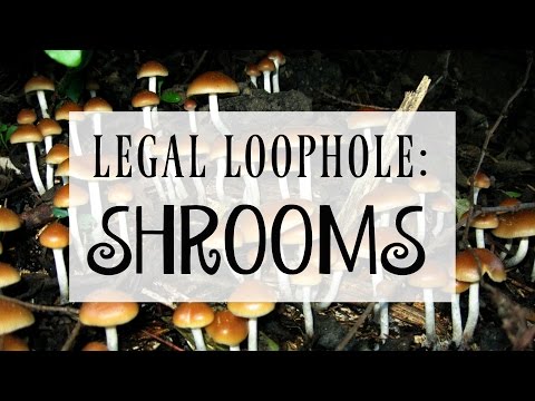 A Legal Loophole Around Magic Mushrooms | Legal Loopholes – Episode 1