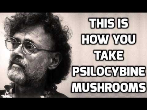 Terence McKenna: This Is How You Take Psilocybin Mushrooms