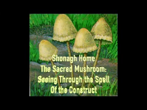 Shonagh Home    The Sacred Mushroom: Seeing Through the Spell of the Construct‏