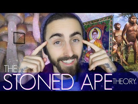 The Stoned Ape Theory! How Psychedelic Mushrooms Shaped our Evolution (Theory Thursday Ep.10)
