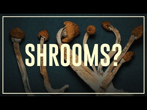 Magic mushrooms – do’s and don’ts | Drugslab