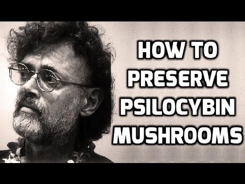 Terence McKenna: How To Preserve Psilocybin Mushrooms