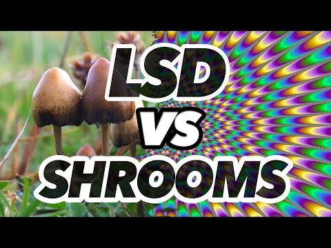 LSD vs Shrooms