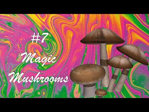 The History of Magic Mushrooms [HD]