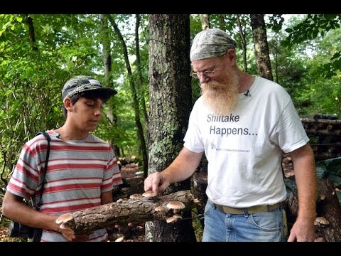 BOOKER TRAVELS – North Carolina: The Mushroom Man