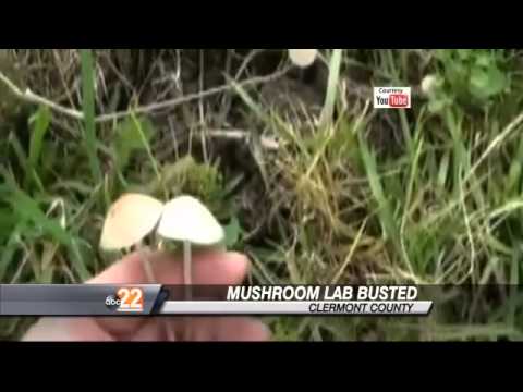 Magic Mushrooms Worth $800,000 Seized at Southwest Ohio Home