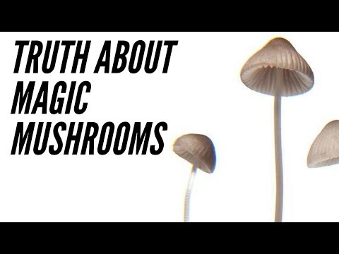 TRUTH ABOUT MAGIC MUSHROOMS