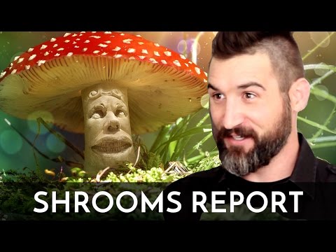 Shroom Trip Report – 3.5g – Beat the Game of Life!