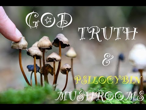 GOD, TRUTH & PSILOCYBIN MUSHROOMS