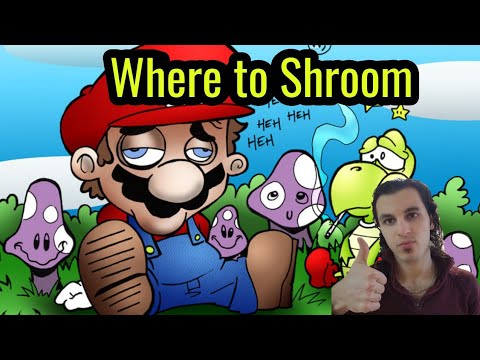 Where Are Psilocybin Mushrooms Legal? (DMT, LSD, Acid, Magic Mushrooms, Psychedelics)