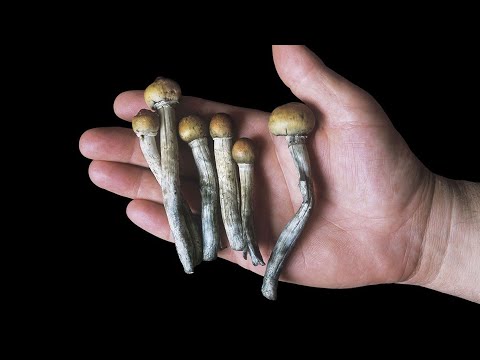 Can Magic Mushrooms Cure Depression?? (The Future of Medicine)