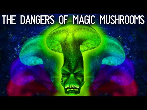 Are magic mushrooms dangerous? They can be.