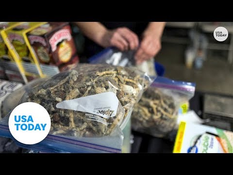 Denver becomes first US city to decriminalize 'magic mushrooms' | USA TODAY