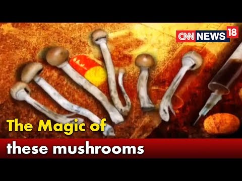 Magic Mushrooms Being Delivered to Doorstep of Drug Users in This TN City | CNN-News18