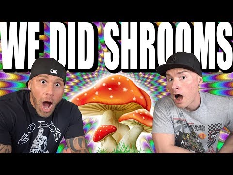 We Did Shrooms | The Psilocybin Experience With Remington James