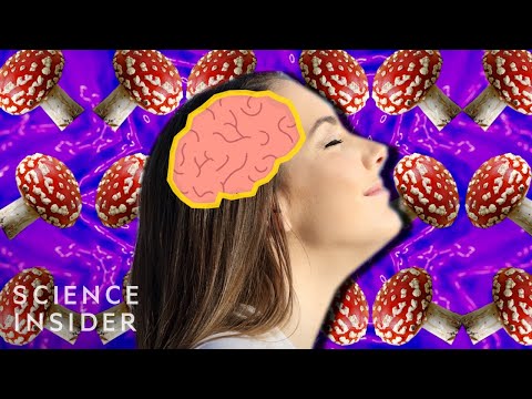 How Psilocybin In Mushrooms Affects Your Brain
