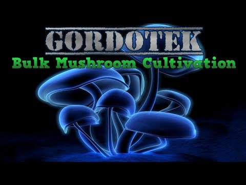 GordoTEK Bulk Mushroom Cultivation best methods 2019 COMPLETE spores to capsules step by step TEK