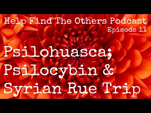 Rubin's New Year's Psilohuasca Trip; Psilocybin & Syrian Rue: Help Find The Others Podcast Ep 11
