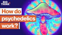 How psychedelics work, explained in under 6 minutes | Matthew Johnson